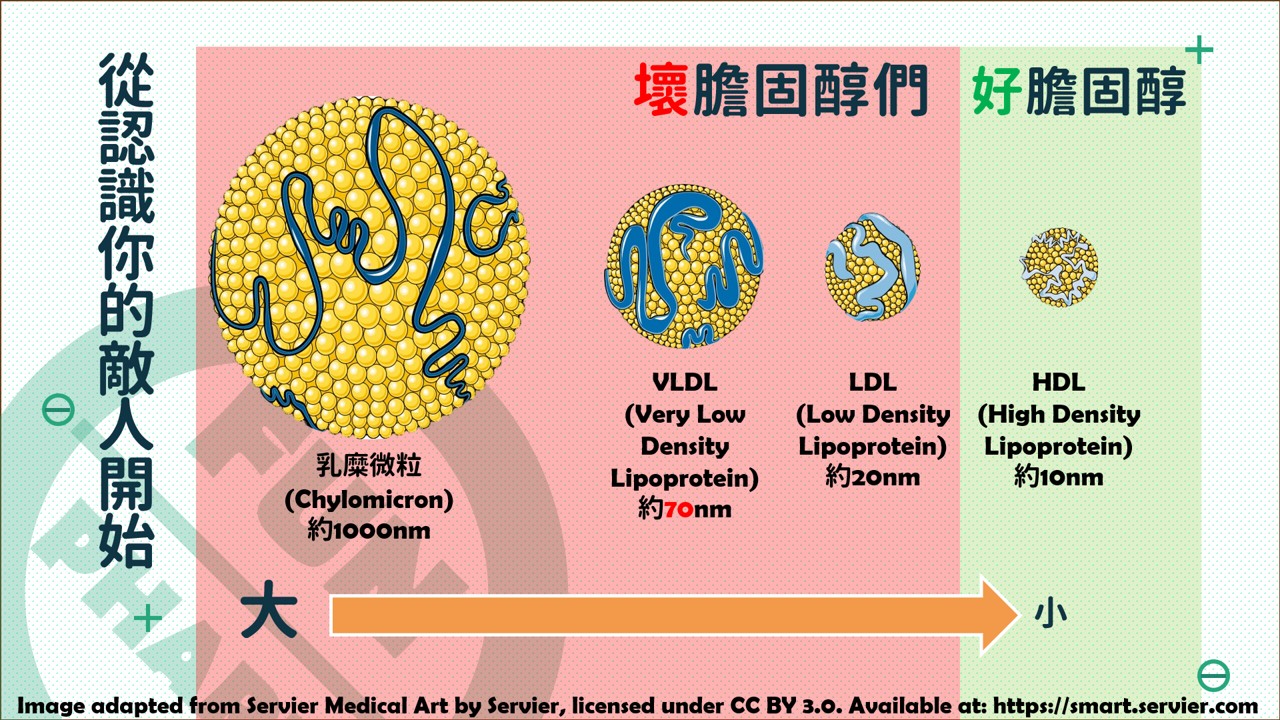 FunPharm 十全超人大補包:圖片 9